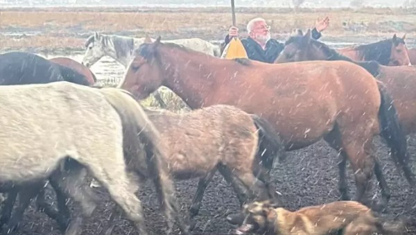 Onur Akın'a klip çekiminde at çarptı!